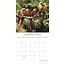 Exotic Birds Calendar 2025