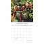 Exotic Birds Kalender 2025