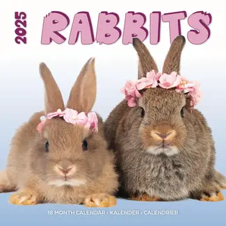 Plenty Gifts Conejos Estudio Calendario 2025