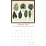 Botanicals Calendar 2025