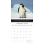 Calendario Save the Planet 2025