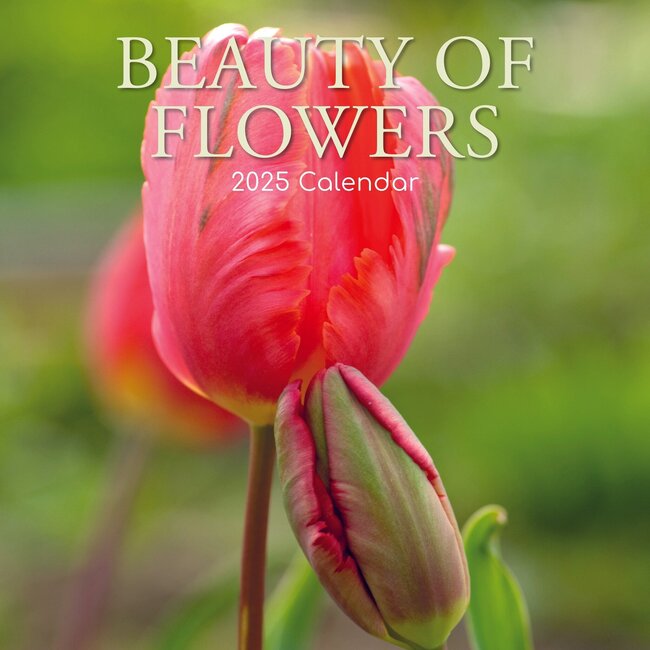 Beauty of Flowers Kalender 2025