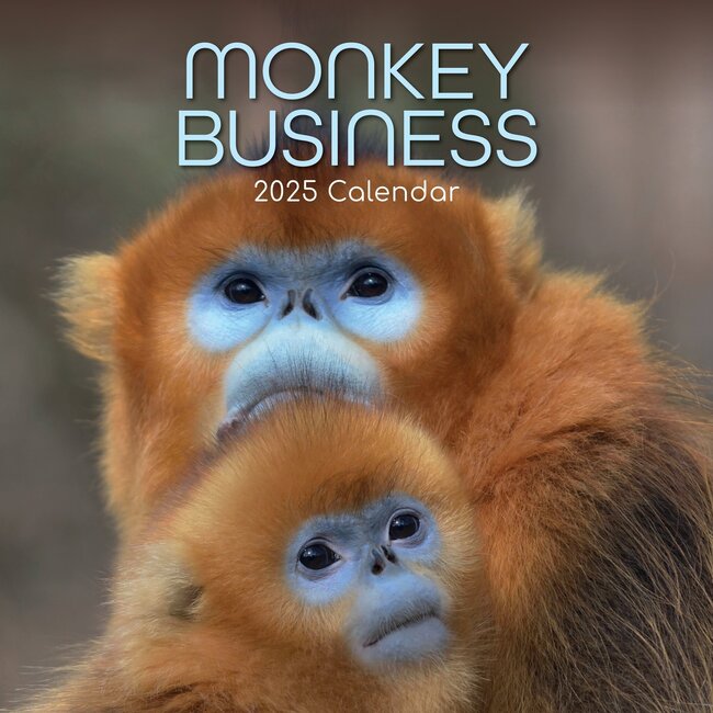 Monkey Business Kalender 2025
