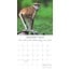 Monkey Business Calendar 2025