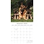 Dogs and Puppies Kalender 2025