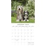 Dogs and Puppies Kalender 2025