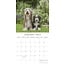 Hunde und Welpen Kalender 2025