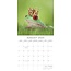 Fabulous Frogs Calendar 2025