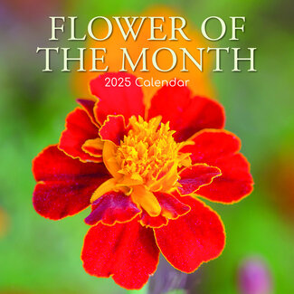 The Gifted Stationary Flower of the Month Calendar 2025