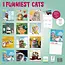 Funniest Cats Calendar 2025