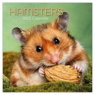 The Gifted Stationary Hamster Calendar 2025