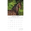 Calendrier des chevaux 2025