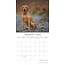 Labrador Retriever Mischling Kalender 2025