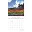 Rainbows Calendar 2025