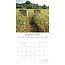 Calendrier des fleurs sauvages 2025