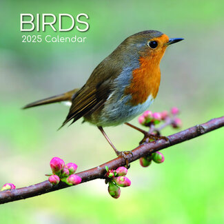 The Gifted Stationary Calendario Aves 2025