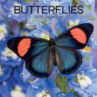 The Gifted Stationary Butterfly Calendar 2025