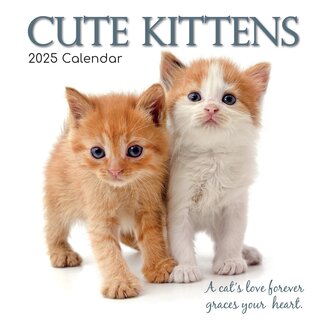 The Gifted Stationary Cute Kittens Calendar 2025