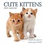 Cute Kittens Kalender 2025