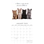 Calendario de gatitos 2025