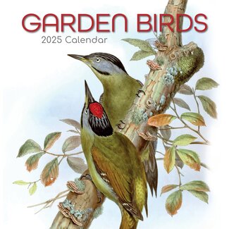 The Gifted Stationary Calendario de aves de jardín 2025