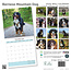 Calendario del cane da montagna bernese 2025