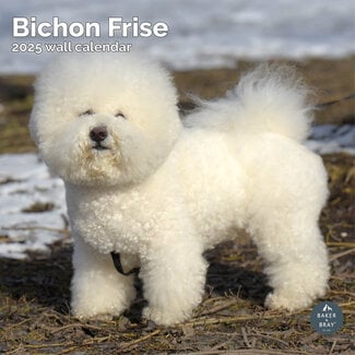 Baker & Bray Bichon Frise Calendar 2025