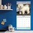 Bichon Frise Calendrier 2025