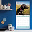 Calendario nero del Labrador Retriever 2025