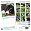 Border Collie-Welpen Kalender 2025