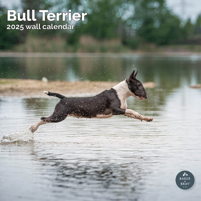 Bull Terrier Kalender 2025