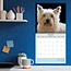 Calendrier Cairn Terrier 2025