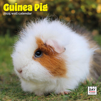 Dayplanner Calendario della cavia 2025