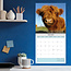 Schotse Hooglanders Kalender 2025