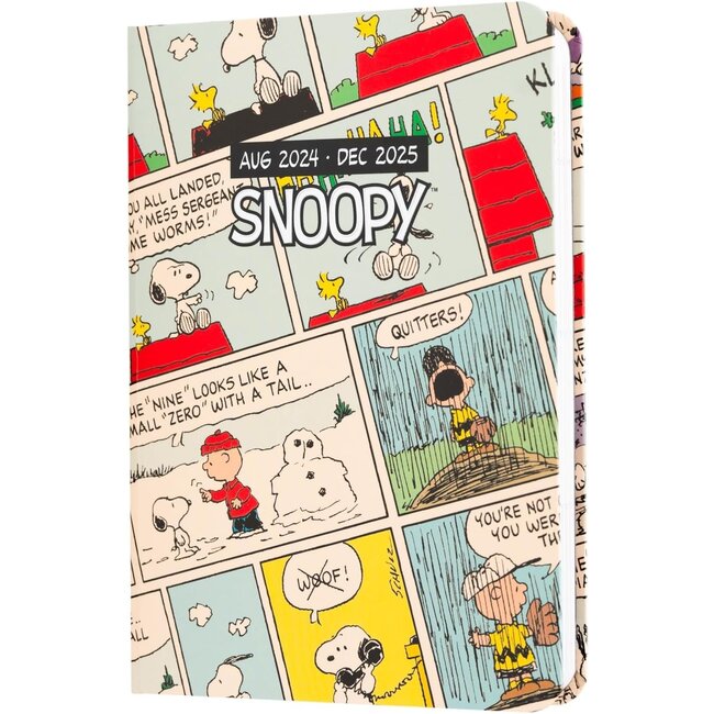 Snoopy-Schultagebuch 2024 -2025
