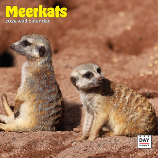 Dayplanner Meerkats Calendar 2025