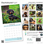 Teckel Puppies Kalender 2025