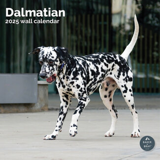 Baker & Bray Calendario Dalmata 2025