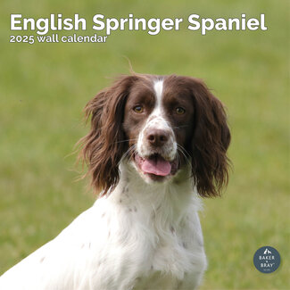 Baker & Bray Engelse Springer Spaniel Kalender 2025