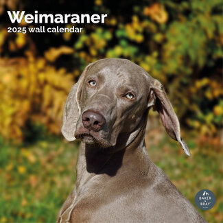 Baker & Bray Weimaraner Kalender 2025