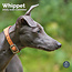 Whippet-Kalender 2025