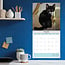 Zwarte Kittens Kalender 2025