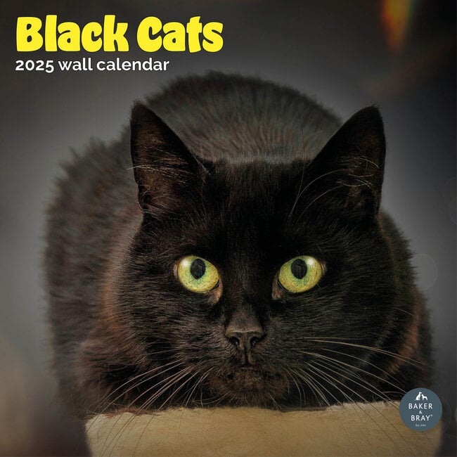 Calendrier des chats noirs 2025