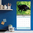 Zwarte Katten Kalender 2025