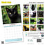 Calendrier des chats noirs 2025