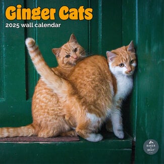 Baker & Bray Rode Katten Kalender 2025