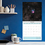 Astronomischer Kalender 2025