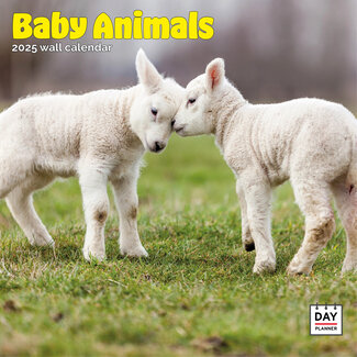 Dayplanner Baby-Tiere Kalender 2025