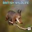 Britischer Wildtierkalender 2025