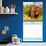 Elephant Calendar 2025